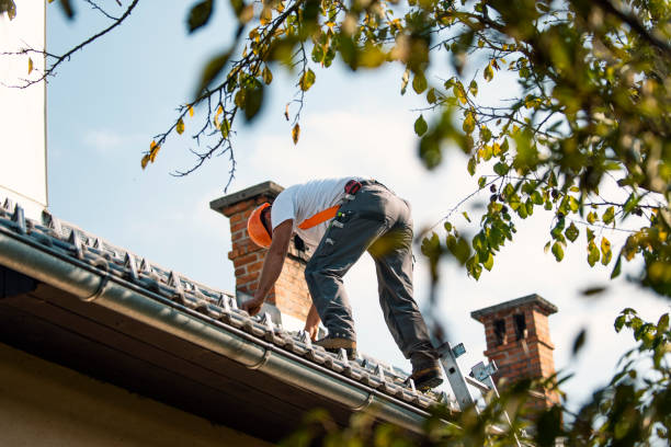 Best Sealant for Roof  in North Bonneville, WA